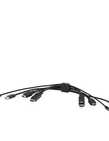 Belkin TAA DUAL (1) HDMI-HDMI (1) DP-DP/USB/AU CBL - Black, 10.0 feet