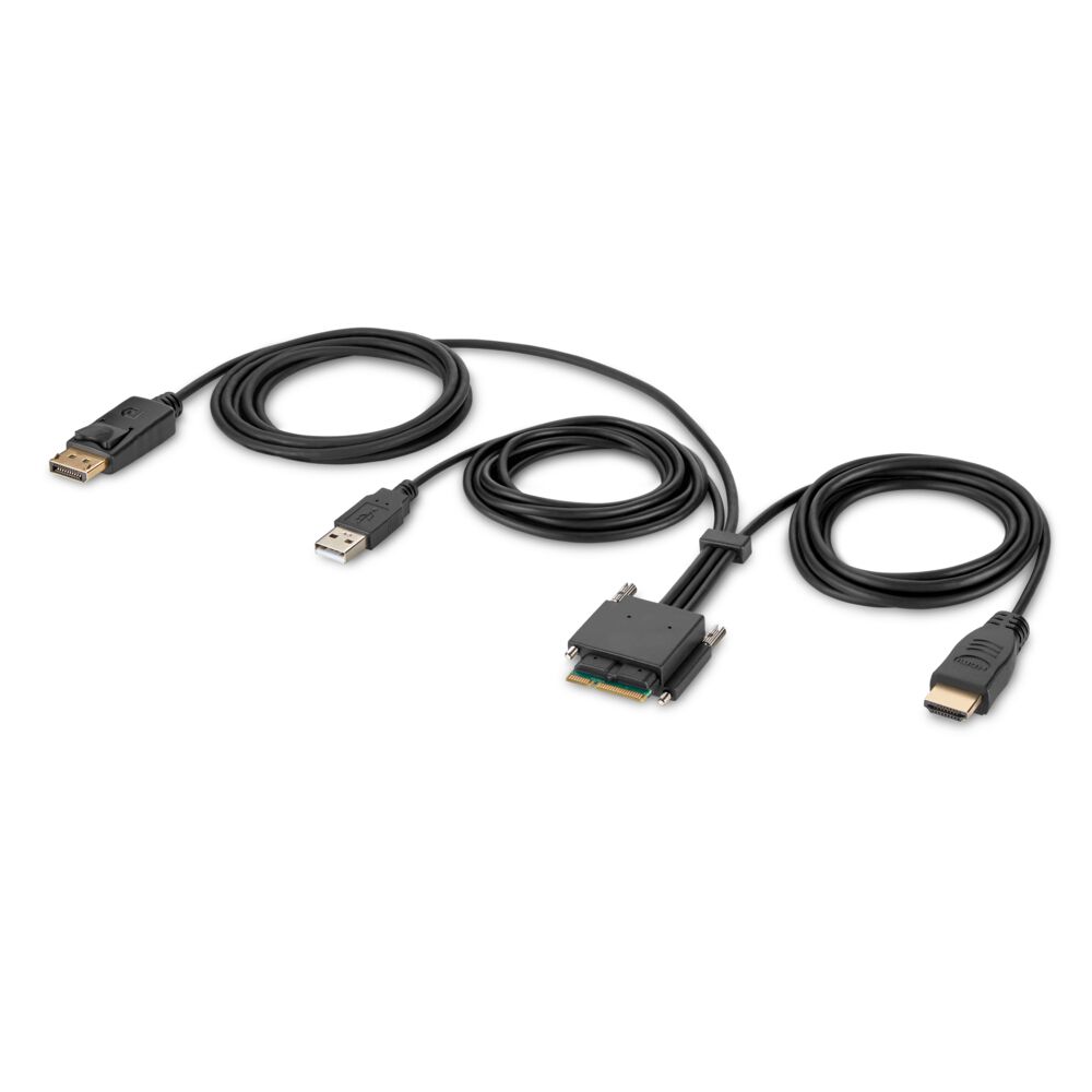 Belkin Modular HDMI and DP Dual-Head Host Cable 6 ft. - Black